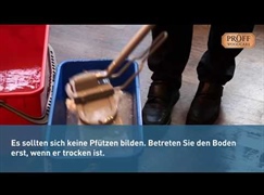 PROFF Woodcare Nassreinigung